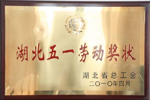 AGֱ����(�й�����)�ٷ���վ