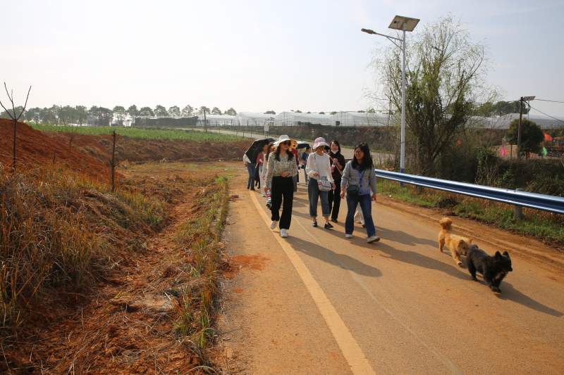 AGֱ����(�й�����)�ٷ���վ